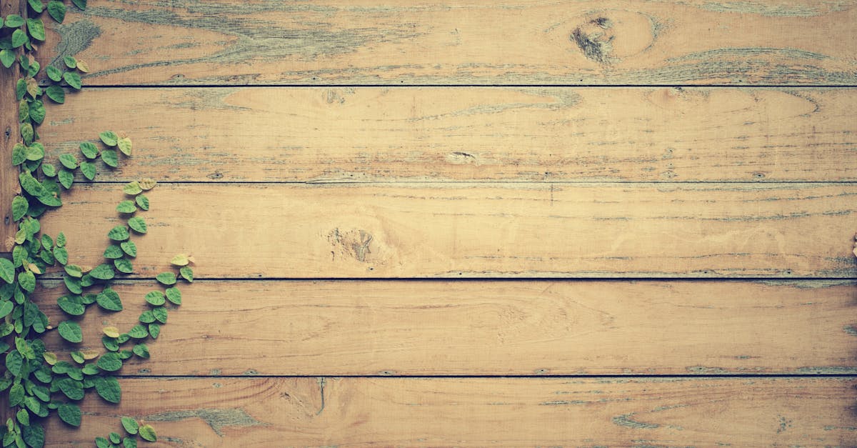 découvrez l'univers du bois : ses variétés, ses utilisations en bricolage et décoration, ainsi que des astuces pour entretenir vos meubles en bois. plongez dans l'art du travail du bois et laissez libre cours à votre créativité !