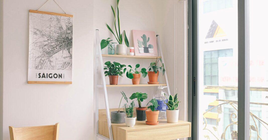 découvrez l'univers fascinant des plantes d'intérieur! apprenez à choisir, entretenir et profiter de ces merveilleux végétaux qui transformeront votre espace de vie en un havre de paix et de verdure.