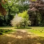 découvrez le monde enchanteur des jardins : astuces de jardinage, conseils d'aménagement, et inspiration pour créer un espace extérieur paisible et éclatant de beauté. transformez votre jardin en un véritable havre de paix.