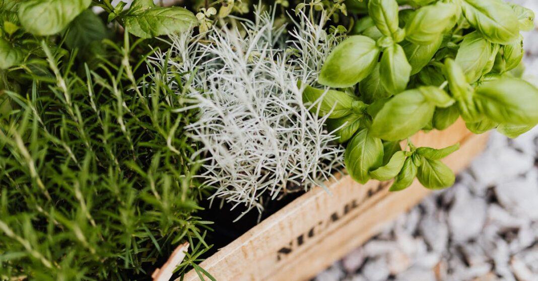 découvrez l'art de cuisiner en plein air avec nos cuisines extérieures. profitez d'un espace convivial et fonctionnel pour vos repas en famille ou entre amis, tout en savourant la beauté de la nature.