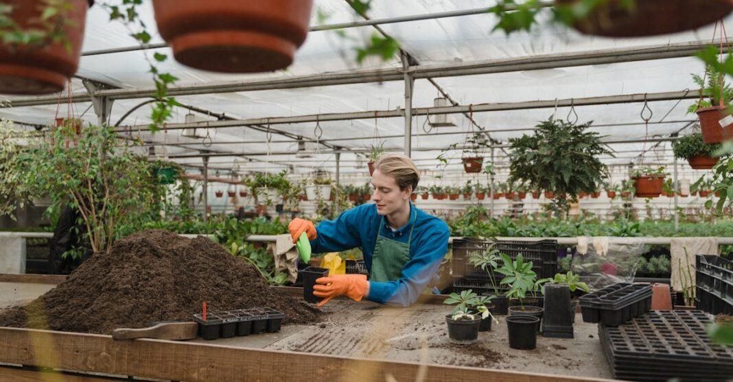 découvrez les pratiques de jardinage durable pour cultiver votre espace tout en protégeant l'environnement. apprenez à utiliser des méthodes eco-friendly, choisir des plantes adaptées et minimiser l'impact sur la nature.