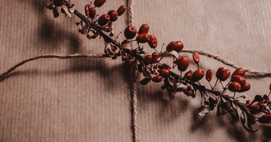 découvrez des idées d'emballage cadeau écologiques et durables pour célébrer vos moments spéciaux tout en préservant la planète. optez pour des matériaux recyclables et des techniques créatives pour ajouter une touche personnelle à vos cadeaux tout en réduisant votre empreinte écologique.