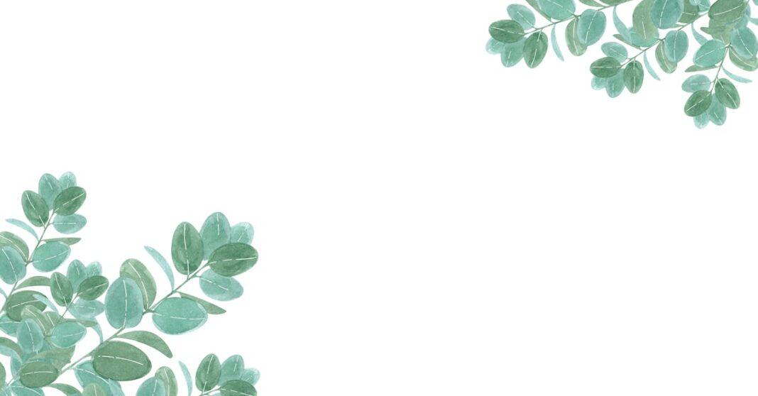 découvrez une sélection de plantes foliaires décoratives qui ajouteront une touche de verdure et d'élégance à votre intérieur. transformez votre espace avec des feuillages variés et luxuriants, parfaits pour chaque style de décoration.