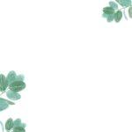 Plantes À Feuillage Décoratif : 7 Variétés Qui En Jettent découvrez une sélection de plantes foliaires décoratives qui ajouteront une touche de verdure et d'élégance à votre intérieur. transformez votre espace avec des feuillages variés et luxuriants, parfaits pour chaque style de décoration.