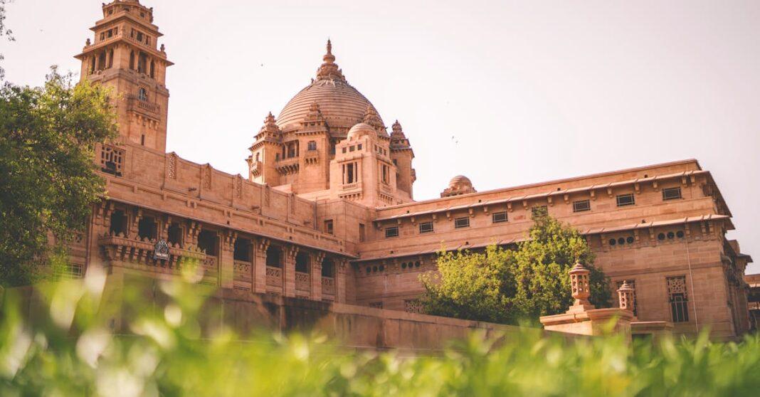 découvrez notre sélection de plantes à faible entretien, parfaites pour les jardiniers débutants ou ceux manquant de temps. transformez votre espace vert avec des espèces robustes et faciles à entretenir, qui apporteront beauté et sérénité sans les tracas du jardinage traditionnel.