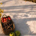 Travaux D’Automne Dans Un Jardin D’Oiseaux : 7 Gestes Bienfaisants découvrez les meilleures astuces pour le jardinage d'automne : préparez votre jardin pour l'hiver, plantez des bulbes, entretenez vos plantes et profitez des couleurs automnales. faites de cette saison un moment agréable pour vos espaces verts.