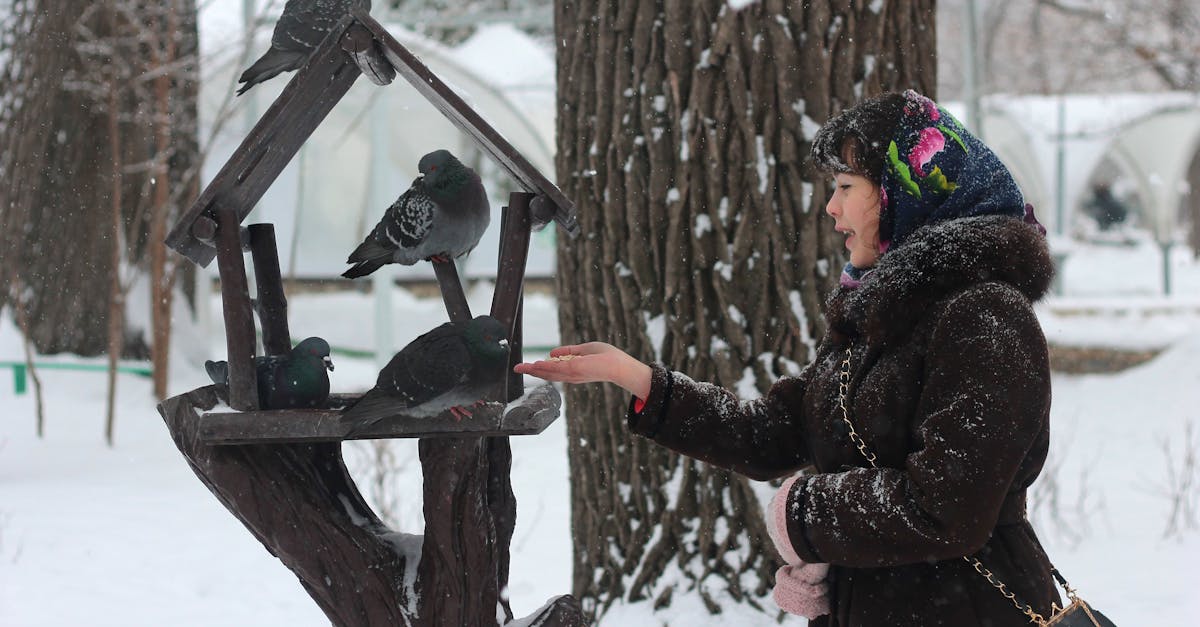 découvrez l'art de nourrir les oiseaux dans votre jardin ! apprenez les meilleures techniques, les aliments appropriés et les types de mangeoires pour attirer une variété d'oiseaux. transformez votre espace extérieur en un refuge aviaire et profitez de moments de nature inoubliables.