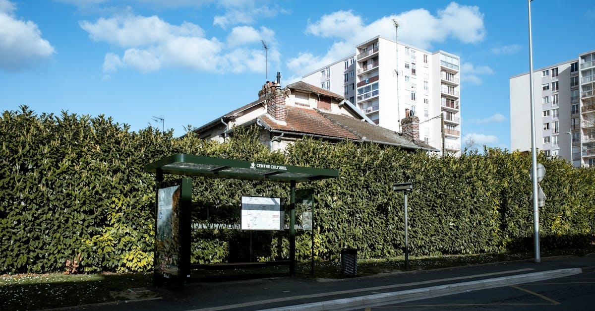 découvrez le charme des haies de cèdre, idéales pour créer des espaces privés et naturels dans votre jardin. apprenez-en plus sur leur entretien, leur croissance et leurs nombreux avantages paysagers.