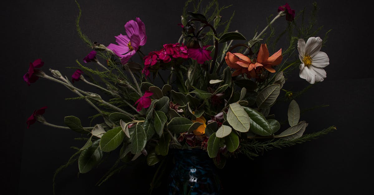 découvrez notre sélection de plantes feuillues décoratives, idéales pour embellir votre intérieur et apporter une touche de verdure à votre décoration. transformez votre espace avec des feuillages élégants et variés qui allient esthétique et bien-être.