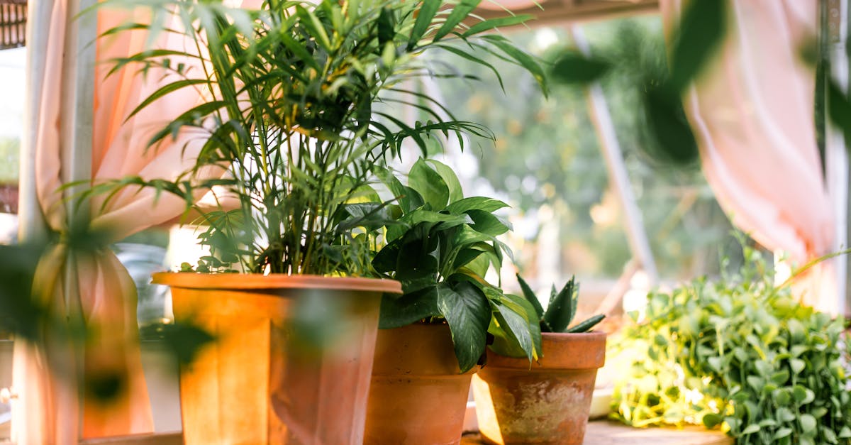 découvrez des conseils pratiques et astucieux pour un jardinage réussi. apprenez à cultiver vos plantes, entretenir votre espace vert et optimiser la croissance de votre jardin, que vous soyez un jardinier débutant ou expérimenté.