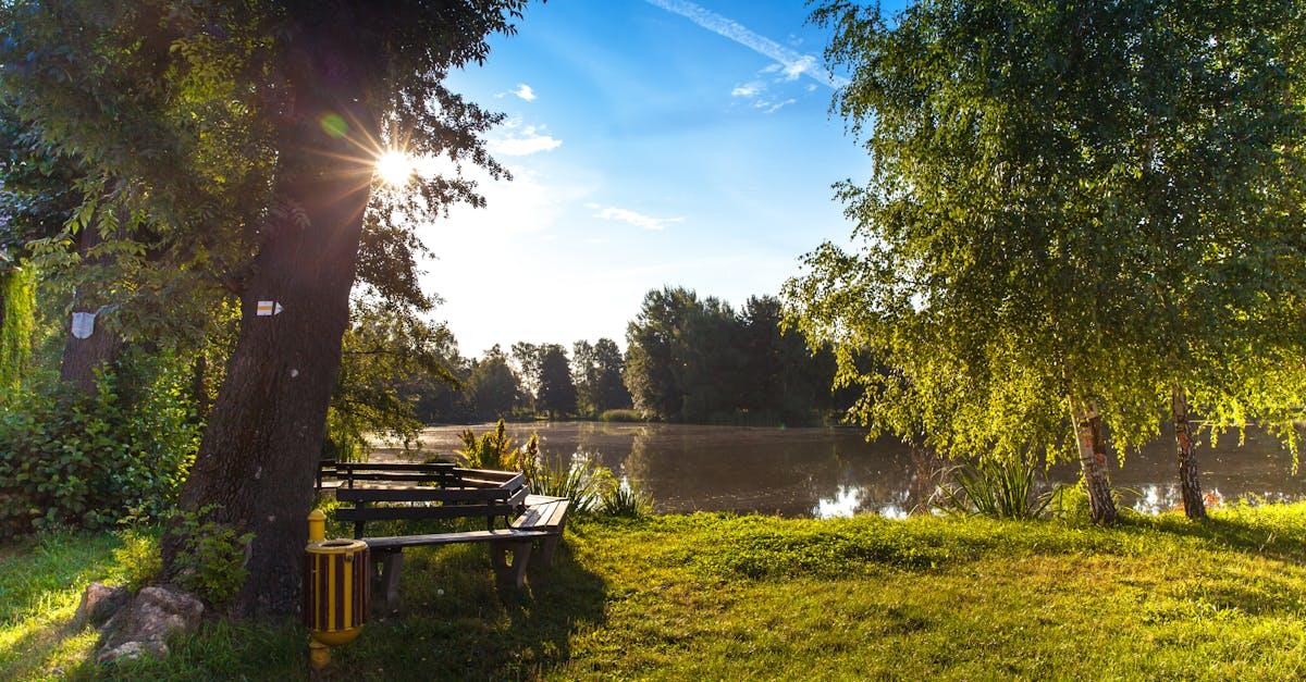 découvrez l'univers des jardins : des conseils pour concevoir, entretenir et embellir votre espace vert. inspirez-vous des tendances en jardinage, des plantes idéales et des aménagements qui transformeront votre extérieur en un havre de paix.