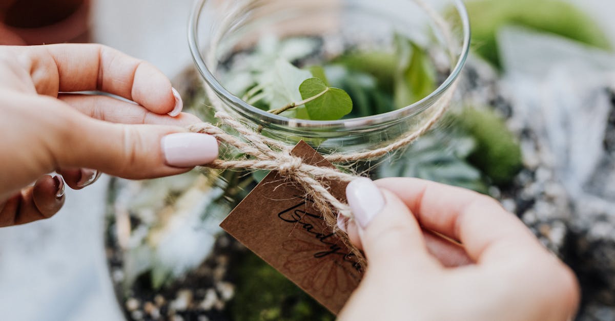 découvrez l'art du kokedama, une technique japonaise de jardinage qui consiste à créer des boules de terre recouvertes de mousse, idéales pour sublimer votre intérieur. apprenez à réaliser votre propre kokedama et apportez une touche de verdure à votre décoration.