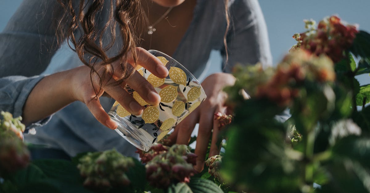 découvrez notre sélection de plantes faciles d'entretien pour embellir votre intérieur ou jardin sans effort. idéales pour les débutants ou pour ceux qui manquent de temps, ces plantes résistantes nécessitent peu d'attention tout en apportant une touche de verdure à votre espace.