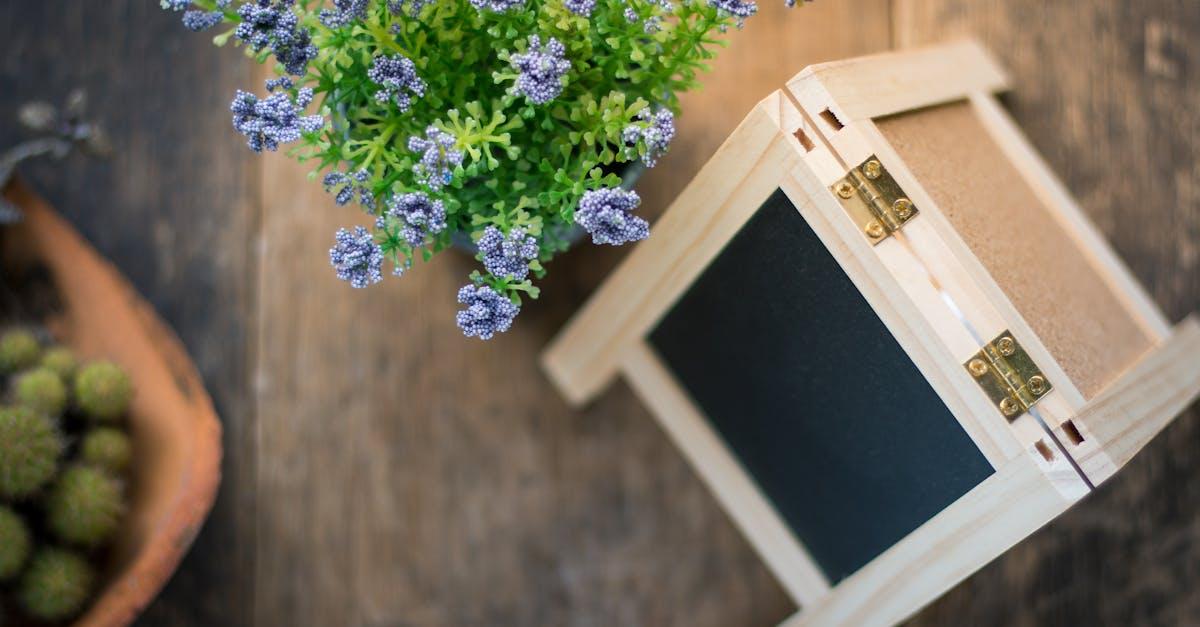 découvrez le monde fascinant des plantes miniatures ! transformez votre espace avec ces petites merveilles faciles à entretenir, idéales pour les appartements ou comme idées cadeaux. apprenez à les cultiver et à les associer pour créer un intérieur verdoyant et apaisant.