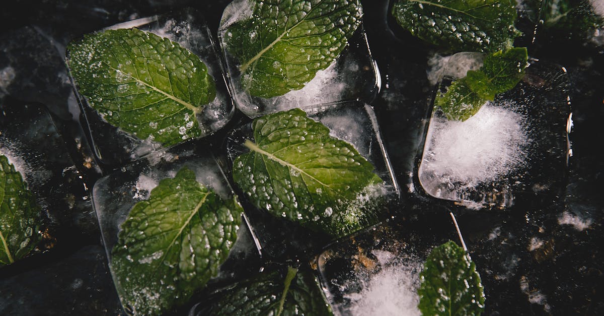 découvrez le square garden, un espace multifonctionnel au cœur de la ville, idéal pour des événements, des concerts et des activités culturelles. profitez d'une ambiance unique et d'instants mémorables dans cet endroit pas comme les autres.