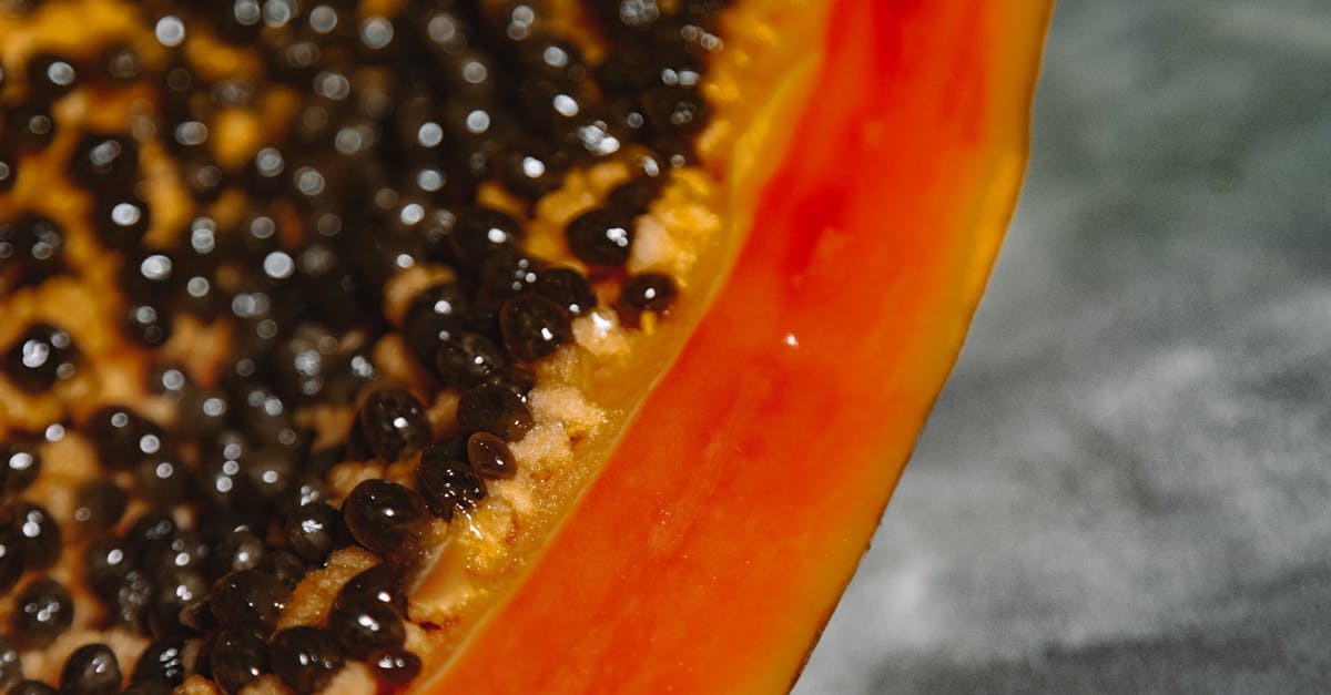 découvrez notre large sélection de graines de légumes pour cultiver un jardin nourrissant et aromatique. profitez de variétés de qualité, adaptées à tous les climats, et faites pousser des légumes sains et savoureux chez vous.