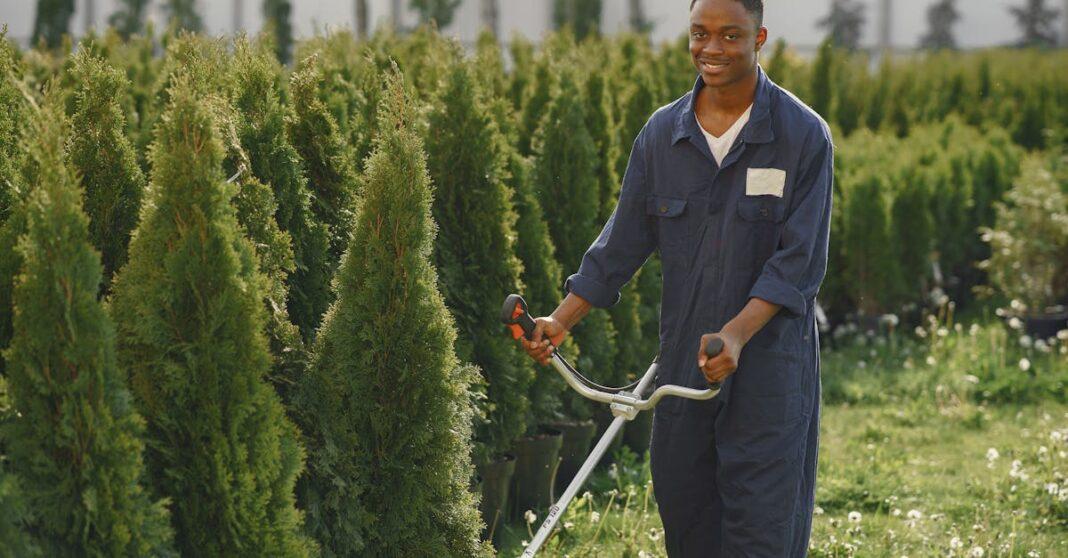 découvrez les meilleures techniques de taille de haies pour favoriser une croissance saine et esthétique. apprenez à entretenir votre jardin grâce à des conseils pratiques sur la taille des haies.