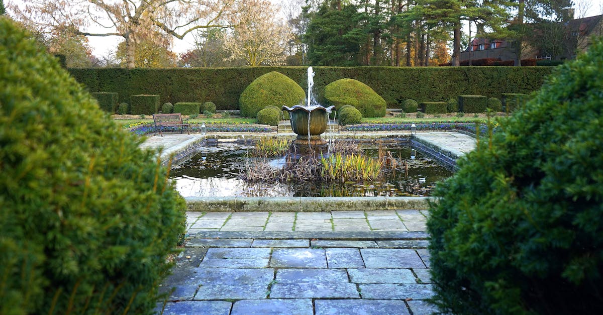 découvrez les meilleures techniques pour la taille des haies, afin de favoriser leur croissance saine et esthétique. apprenez à entretenir vos haies toute l'année avec des astuces pratiques et des conseils d'experts.