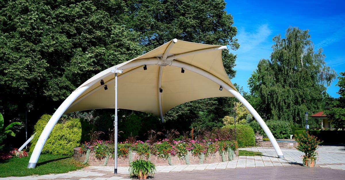 découvrez le tilleul, un arbre majestueux aux propriétés bénéfiques. apprenez-en plus sur ses bienfaits, son folklore et ses utilisations en cuisine et en médecine naturelle.