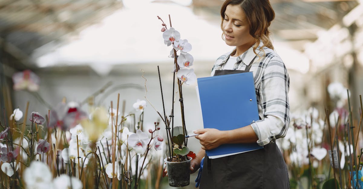découvrez les meilleures astuces et conseils pour prendre soin de vos orchidées. apprenez à les arroser, les fertiliser et les rempoter pour qu'elles fleurissent toute l'année.
