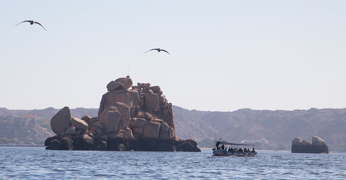 découvrez l'univers fascinant du papyrus, cette plante maritime utilisée depuis l'antiquité pour la fabrication de papier. explorez son histoire, ses applications artistiques et son importance culturelle dans les civilisations égyptiennes et au-delà.