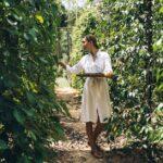 Apprenez à cultiver votre propre poivre et à récolter vos épices maison découvrez les secrets de la culture du poivre : techniques de plantation, conseils d'entretien et astuces pour obtenir des récoltes abondantes. apprenez à maîtriser cette épice prisée et enrichissez vos connaissances en agriculture durable.