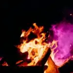 découvrez les multiples applications et bienfaits des cendres de bois, un produit naturel riche en minéraux, idéal pour enrichir votre sol, améliorer la qualité de vos cultures et contribuer à une démarche écoresponsable. apprenez comment les utiliser efficacement dans votre jardin.