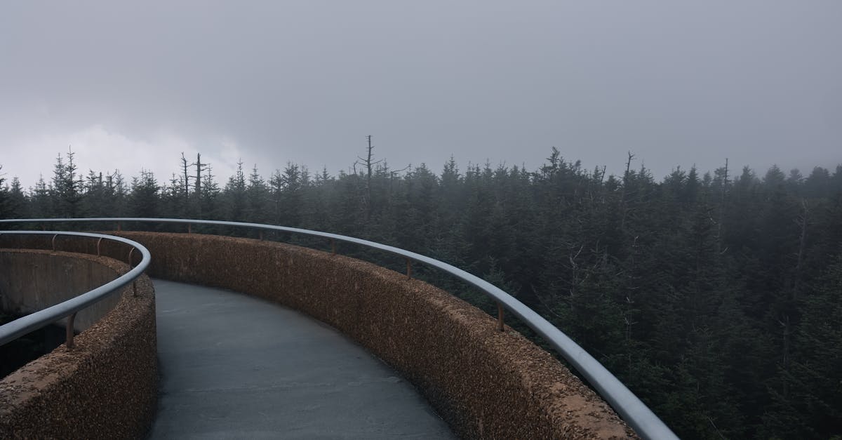 découvrez des activités d'automne passionnantes pour profiter pleinement de cette saison colorée. que vous soyez amateur de balades en forêt, de décorations saisonnières ou de recettes réconfortantes, nous avons tout ce qu'il vous faut pour célébrer l'automne en famille ou entre amis.