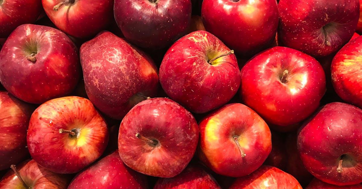 découvrez l'éclat de l'automne avec notre article sur les récoltes de saison. explorez les fruits et légumes de l'automne, des recettes savoureuses aux conseils de jardinage, pour savourer pleinement cette période de fête et de partage.