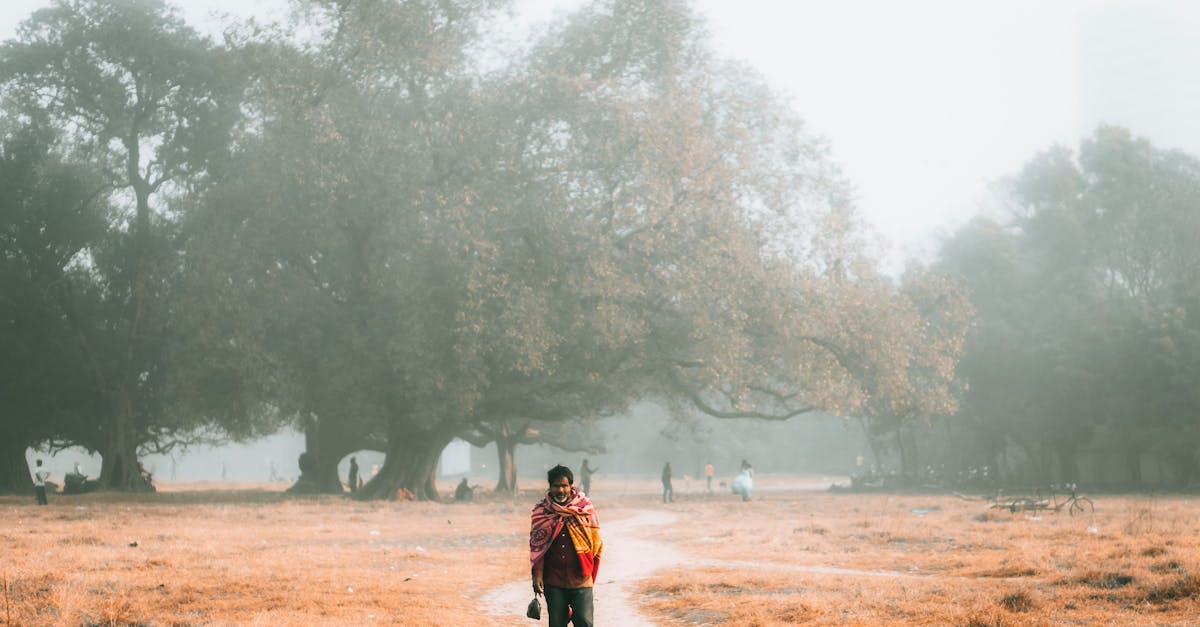découvrez comment créer des jardinières d'automne éclatantes avec des plantes résistantes et colorées. ajoutez une touche chaleureuse à votre décor extérieur tout en célébrant la beauté de la saison avec nos conseils et idées inspirantes.