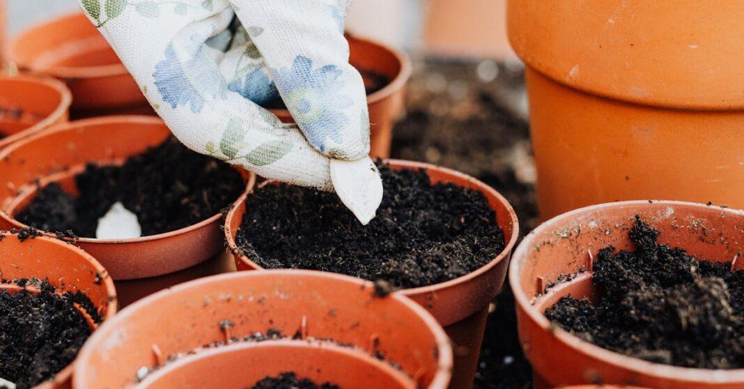 découvrez les meilleures techniques de plantation d'automne pour préparer votre jardin pour le printemps. apprenez quelles plantes choisir, comment enrichir le sol et maximiser la croissance des végétaux pendant cette saison propice.