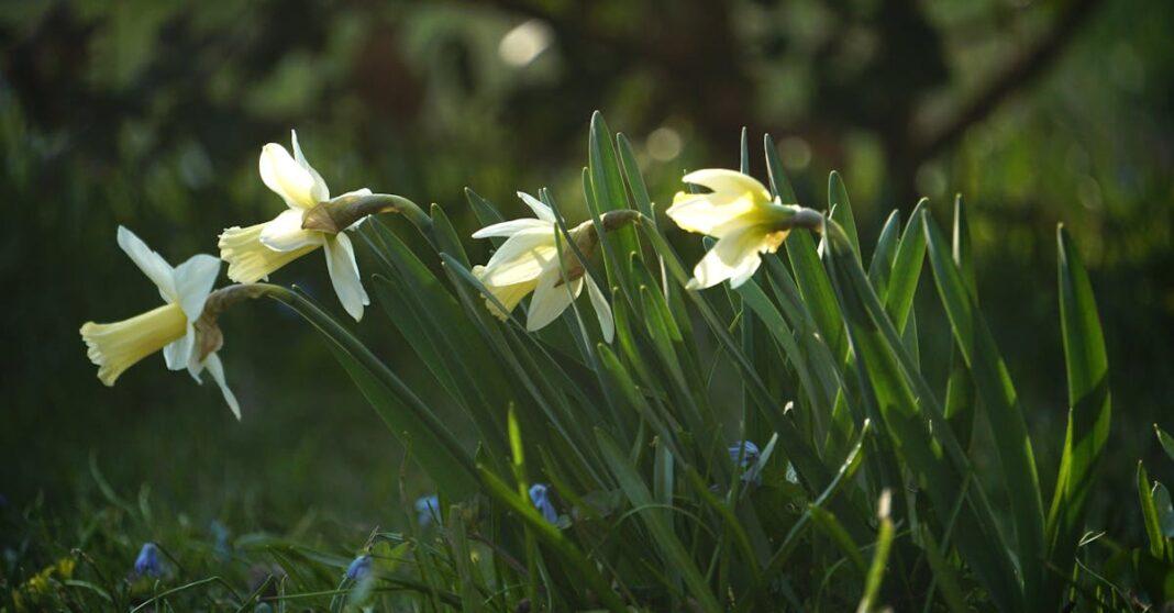 découvrez des recettes de beauté naturelles et efficaces pour sublimer votre peau, vos cheveux et votre bien-être au quotidien. transformez des ingrédients simples en soins maison adaptés à vos besoins.