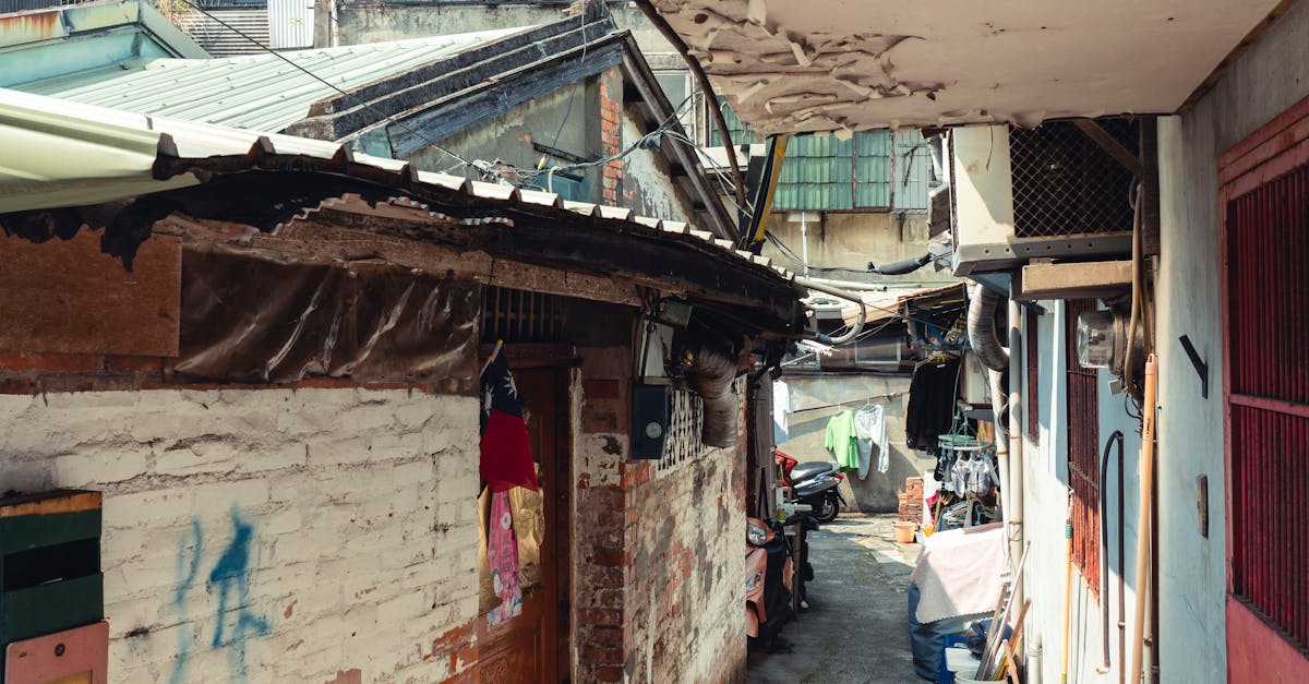 découvrez l'univers du blight, une menace dévastatrice qui affecte les cultures et les écosystèmes. explorez ses causes, ses impacts sur l'environnement et les solutions pour lutter contre cette maladie des plantes.