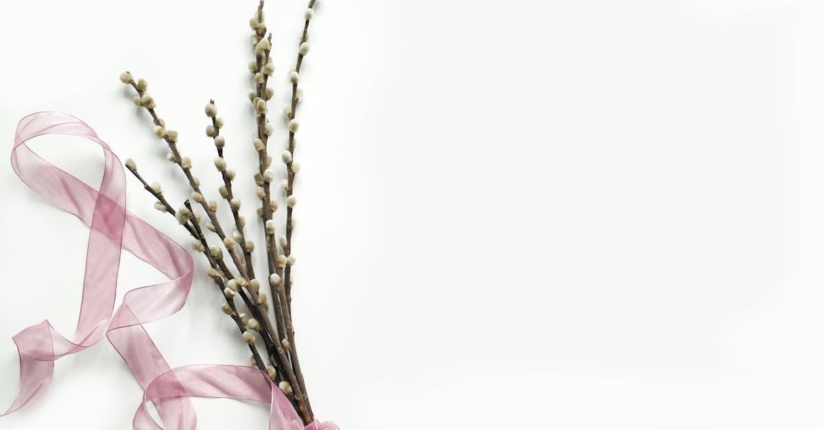 découvrez l'univers enchanteur de 'blooming', un concept floral innovant qui célèbre la beauté de la nature à travers des créations florales uniques et des événements éblouissants. plongez dans un monde de couleurs et de parfums qui transformeront chaque moment en une expérience mémorable.