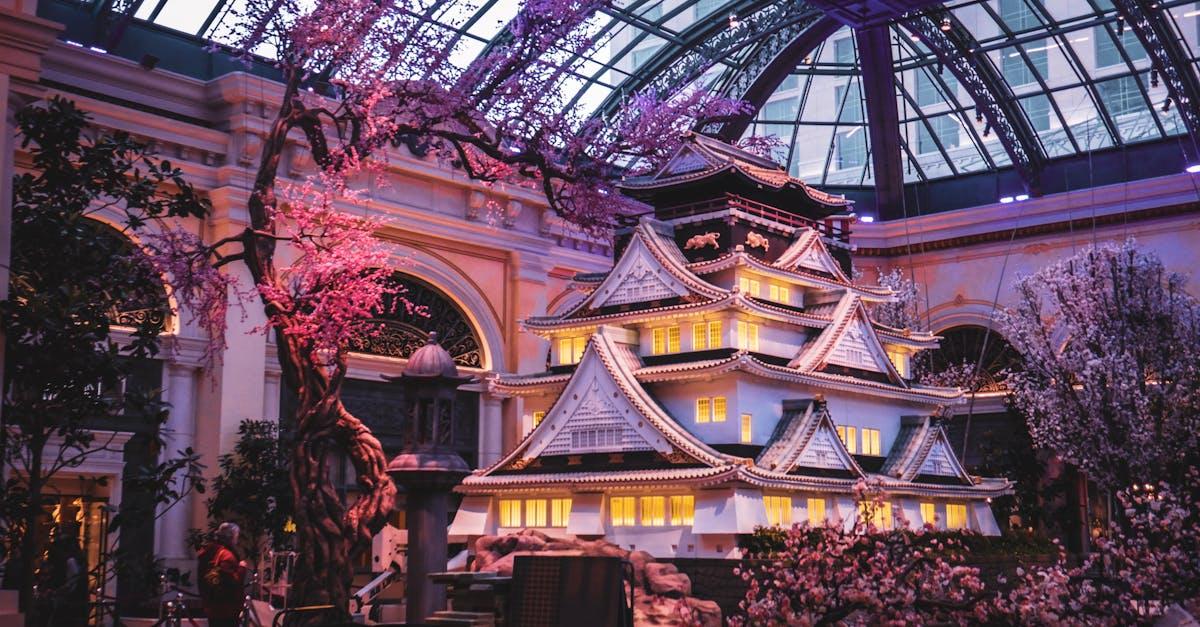 découvrez l'art millénaire du bonsaï, une forme de jardinage fascinante qui permet de cultiver de magnifiques arbres miniature. explorez les techniques de taille, d'entretien et les variétés de bonsaïs pour créer votre propre oasis verte à la maison.