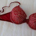 découvrez les techniques et avantages du bois raméal fragmenté (brf) pour améliorer la santé de votre sol et favoriser une agriculture durable. apprenez à l'utiliser efficacement dans votre jardin pour une croissance optimale des plantes.