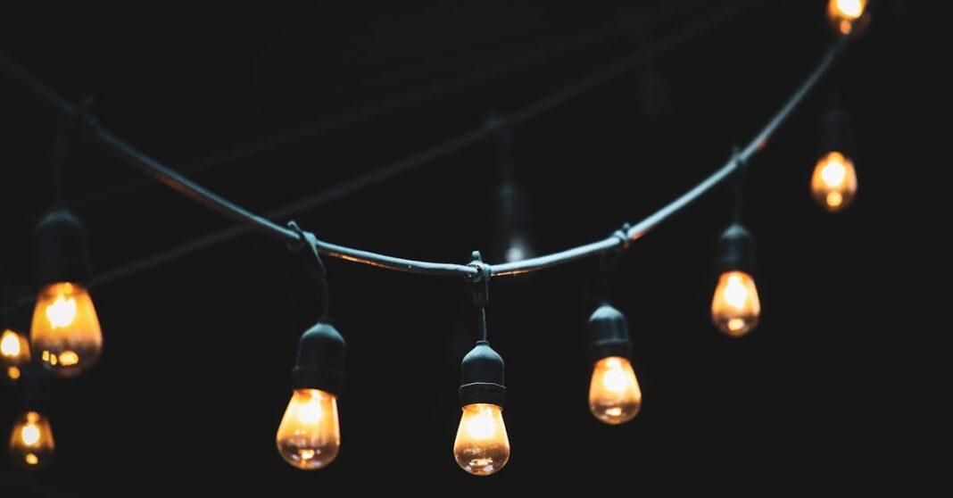 découvrez notre sélection variée de bulbes pour embellir votre jardin. que ce soit des tulipes, des jacinthes ou des narcisses, trouvez les fleurs parfaites pour chaque saison et apportez de la couleur à votre espace extérieur.