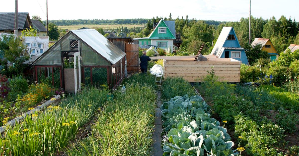 découvrez les techniques essentielles pour la culture du cannabis, des conseils sur le choix des graines aux meilleures pratiques de culture, en passant par l'entretien optimal des plantes pour garantir une récolte abondante et de qualité.