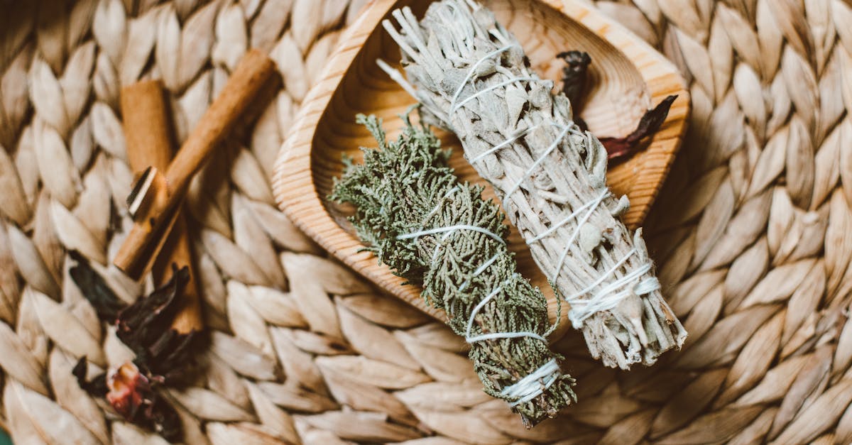 découvrez nos services de taille de cèdre, spécialement conçus pour maintenir la santé de vos arbres tout en leur donnant une forme esthétique. profitez d'un entretien professionnel pour embellir votre jardin.