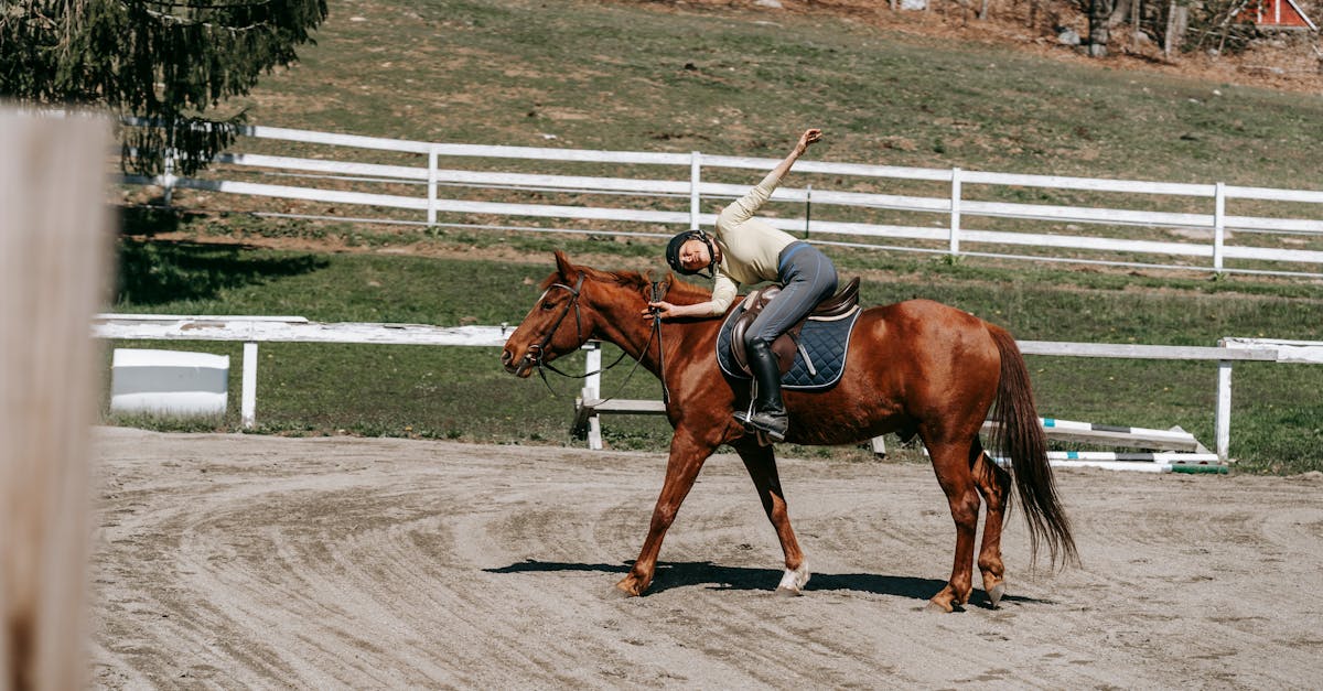 découvrez tout sur la châtaigne : ses bienfaits pour la santé, ses recettes savoureuses et son rôle dans la cuisine traditionnelle. apprenez à choisir, conserver et cuisiner les châtaignes pour en tirer le meilleur parti.
