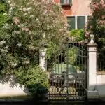 découvrez les meilleures plantes grimpantes pour embellir votre jardin et vos espaces intérieurs. apprenez à les choisir, les entretenir et à les associer pour créer un décor verdoyant et harmonieux.