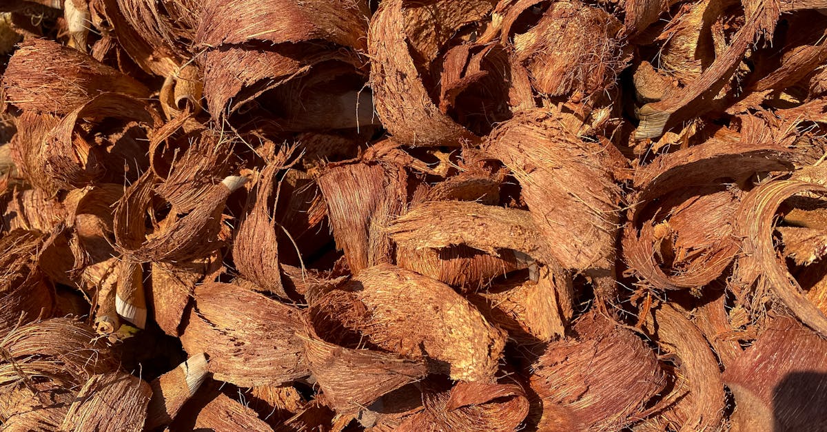 découvrez les bienfaits du compostage pour réduire vos déchets et enrichir votre jardin. apprenez les techniques simples pour transformer vos déchets organiques en un compost nutritif et écologique.