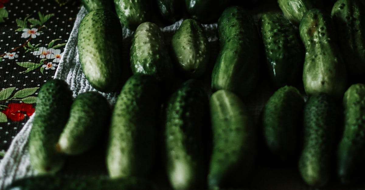 9 Secrets Pour Obtenir De Beaux Concombres - Jardin-bio