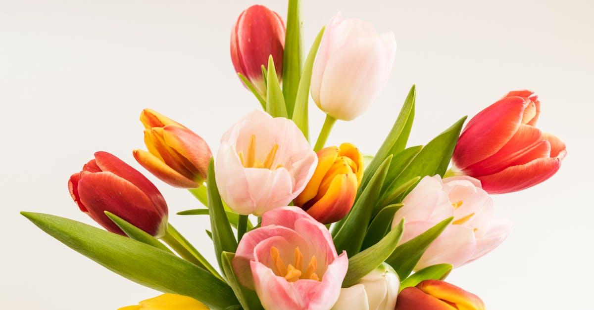 découvrez notre sélection de fleurs coupées, idéales pour embellir vos espaces et célébrer chaque occasion. qualité exceptionnelle et variété de choix pour un bouquet parfait.