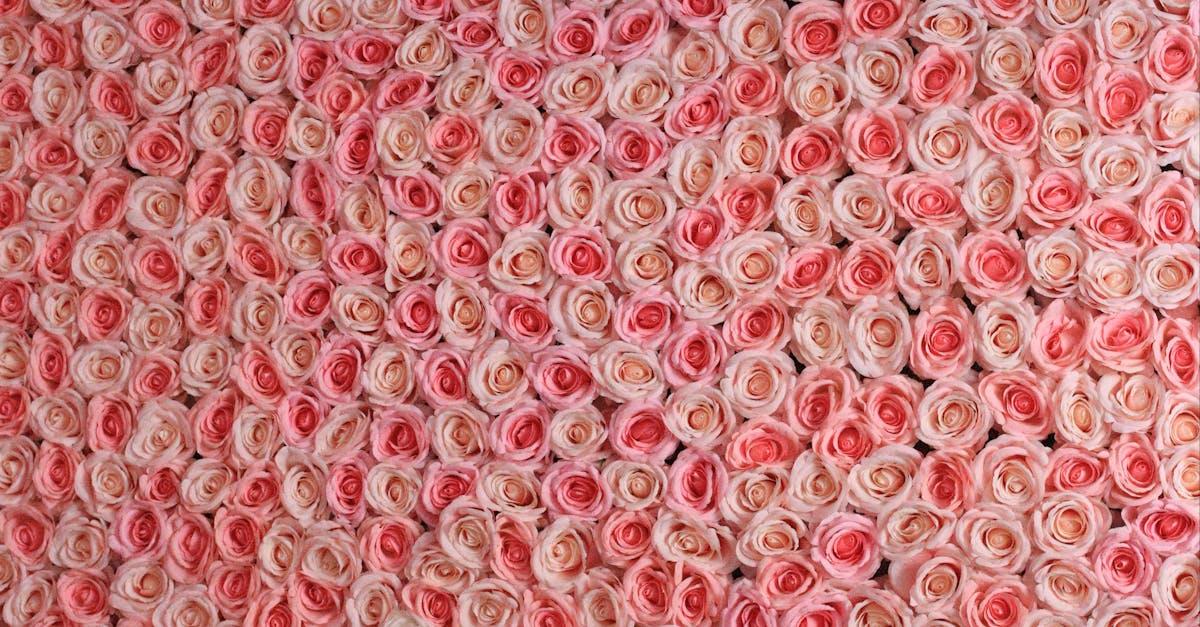 découvrez l'essence de l'élégance à travers notre collection raffinée, alliant style intemporel et sophistication. explorez des inspirations pour sublimer votre quotidien et embrasser une allure chic.