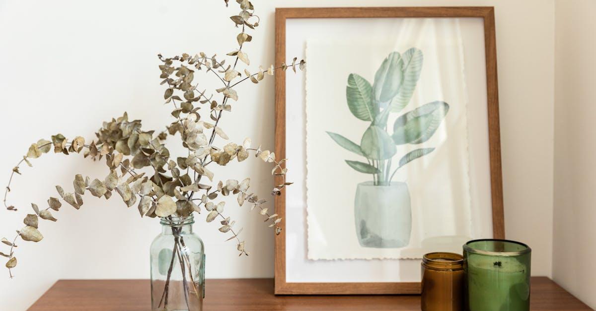 découvrez les bienfaits de l'eucalyptus, une plante aux propriétés médicinales et aromatiques. apprenez à l'utiliser pour améliorer votre bien-être au quotidien grâce à ses effets apaisants et purifiants.