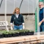 découvrez l'importance des engrais pour la croissance optimale de vos plantes. apprenez à choisir le bon type d'engrais adapté à vos cultures et à maximiser la fertilité de votre sol pour des récoltes abondantes.