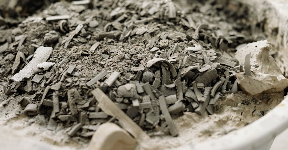 découvrez notre gamme d'engrais de haute qualité pour optimiser la croissance de vos plantes. que vous soyez un jardinier amateur ou un professionnel, nos solutions nutritives adaptées à tous les types de sols garantissent des résultats exceptionnels. améliorez la santé de votre jardin avec nos produits écologiques et performants.