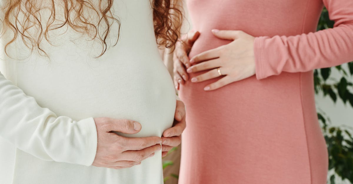 découvrez notre gamme d'engrais innovants et efficaces pour optimiser la croissance de vos plantes. que ce soit pour le jardinage, l'agriculture ou l'horticulture, nos fertilisants sont conçus pour nourrir le sol et garantir des récoltes abondantes. améliorez la santé de vos plantes avec des produits respectueux de l'environnement.