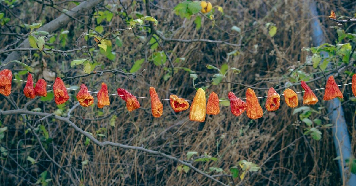 découvrez le concept d'autosuffisance alimentaire et apprenez comment cultiver vos propres aliments, réduire votre dépendance aux ressources externes et adopter un mode de vie plus durable. explorez des conseils pratiques, des techniques de jardinage et des recettes pour profiter d'une alimentation saine et responsable.